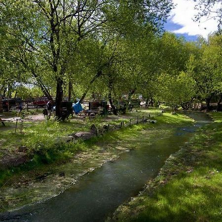 Camping Y Hostal El Ovejero El Calafate Exteriör bild