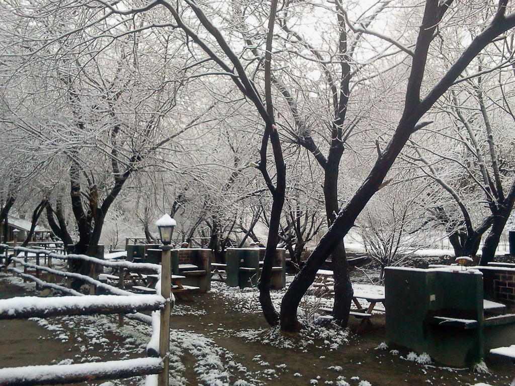 Camping Y Hostal El Ovejero El Calafate Exteriör bild