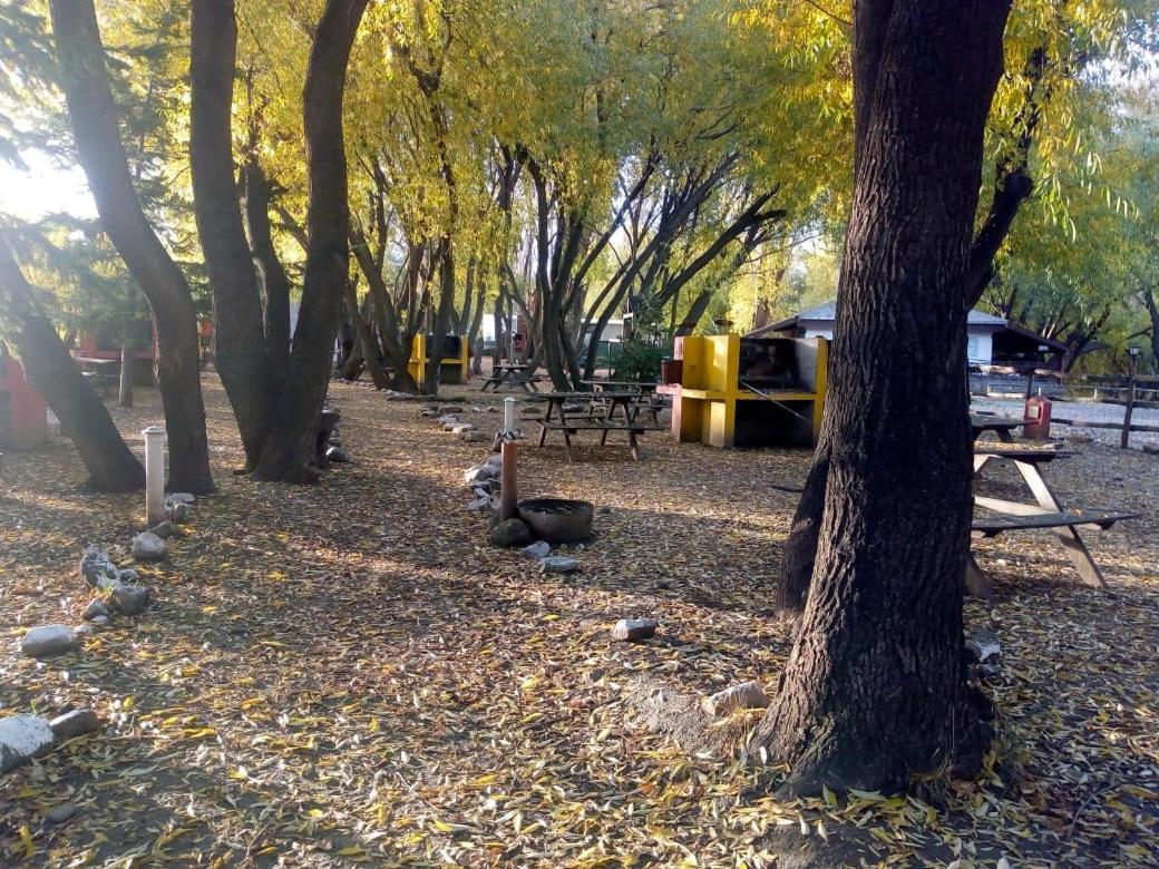 Camping Y Hostal El Ovejero El Calafate Exteriör bild